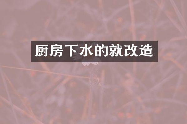 厨房下水的就改造