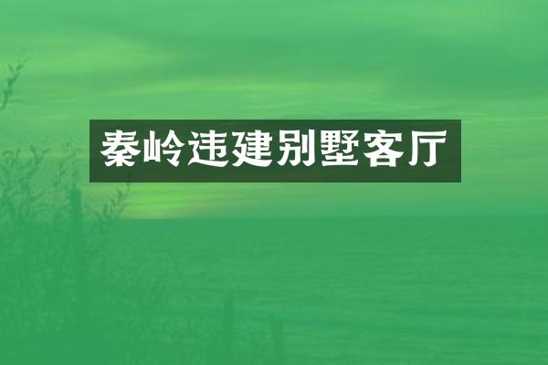 秦岭违建别墅客厅