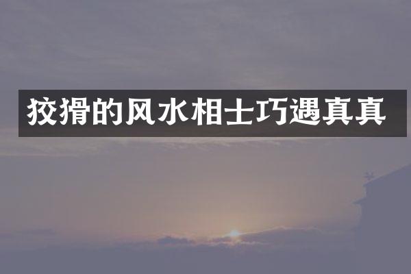 狡猾的风水相士巧遇真真