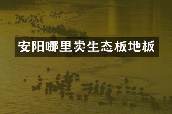 安阳哪里卖生态板地板