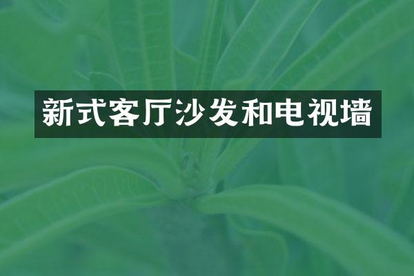 新式客厅沙发和电视墙