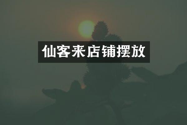 仙客来店铺摆放