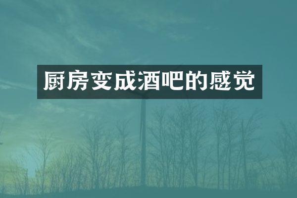 厨房变成酒吧的感觉