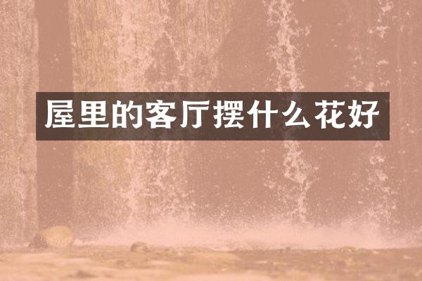 屋里的客厅摆什么花好