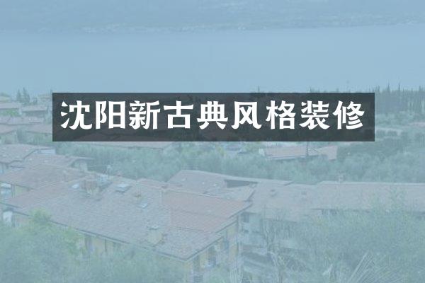 沈阳新古典风格装修