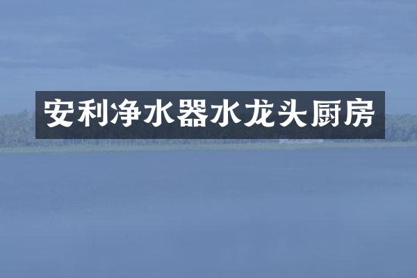 安利净水器水龙头厨房
