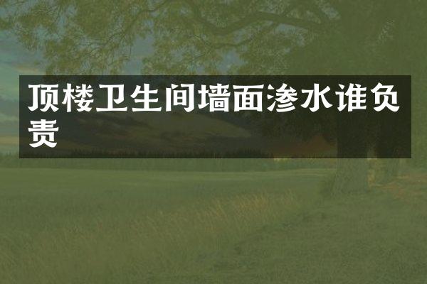 顶楼卫生间墙面渗水谁负责