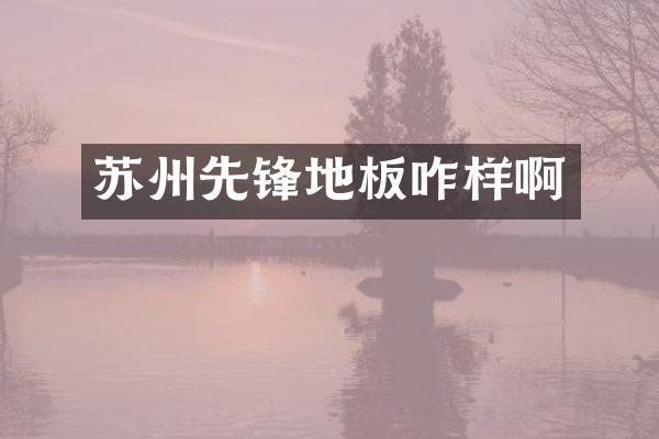 苏州先锋地板咋样啊