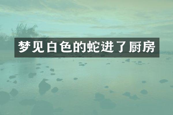 梦见白色的蛇进了厨房