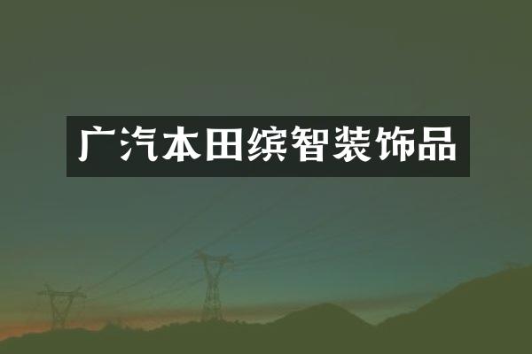 广汽本田缤智装饰品