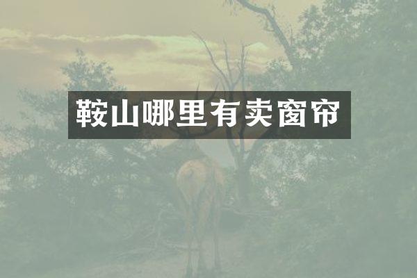 鞍山哪里有卖窗帘