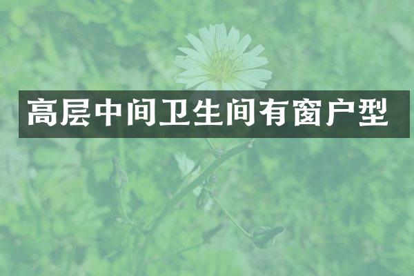 高层中间卫生间有窗户型