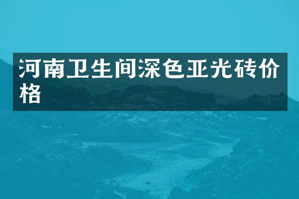 河南卫生间深色亚光砖价格