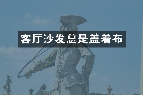 客厅沙发总是盖着布