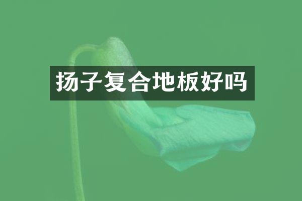 扬子复合地板好吗