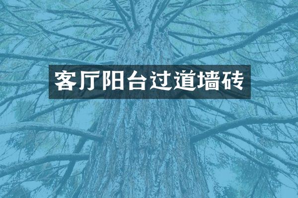 客厅阳台过道墙砖