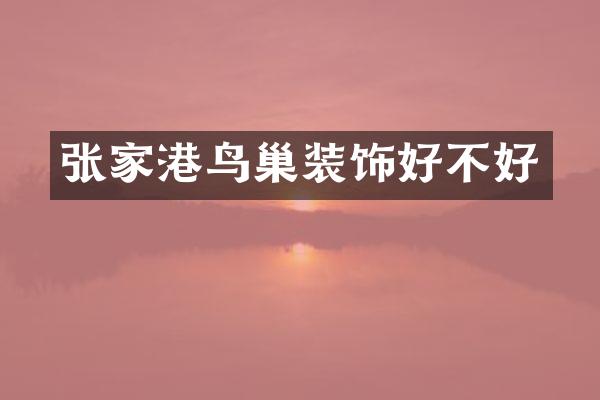 张家港鸟巢装饰好不好