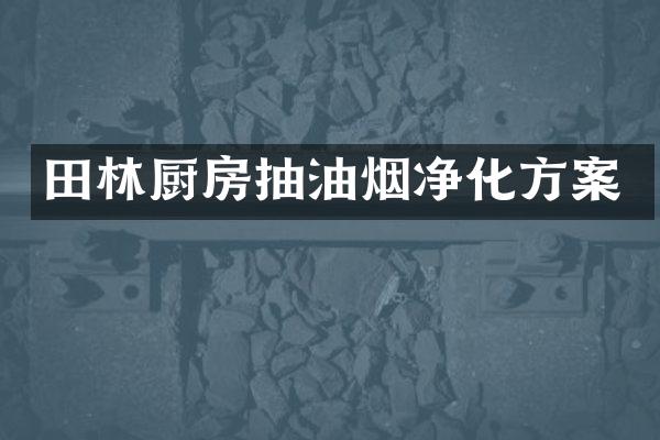 田林厨房抽油烟净化方案