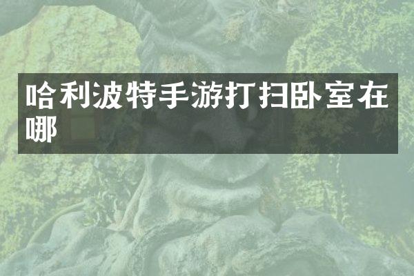 哈利波特手游打扫卧室在哪