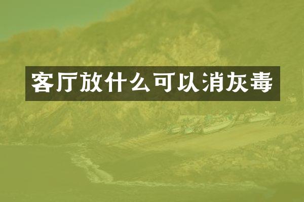 客厅放什么可以消灰毒