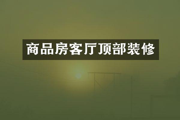 商品房客厅顶部装修