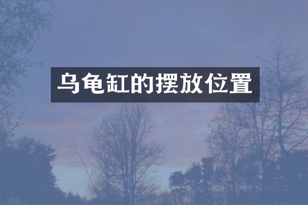 乌龟缸的摆放位置