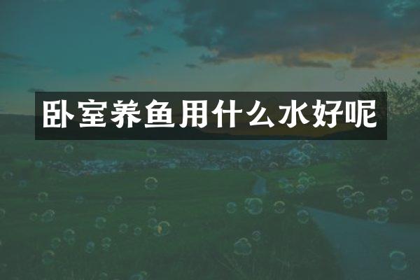 卧室养鱼用什么水好呢