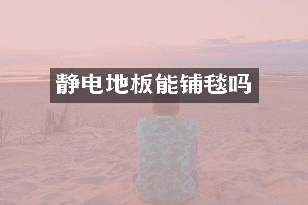 静电地板能铺毯吗