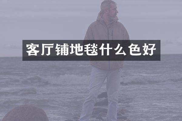 客厅铺地毯什么色好