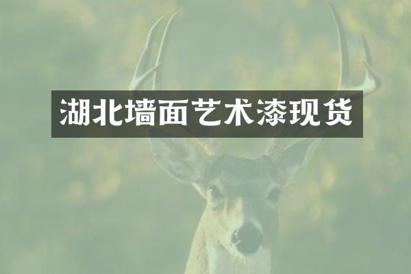 湖北墙面艺术漆现货