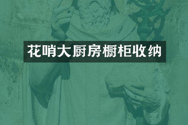 花哨大厨房橱柜收纳