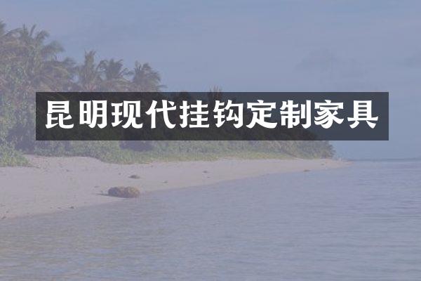 昆明现代挂钩定制家具