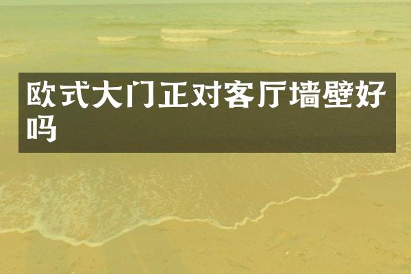 欧式大门正对客厅墙壁好吗