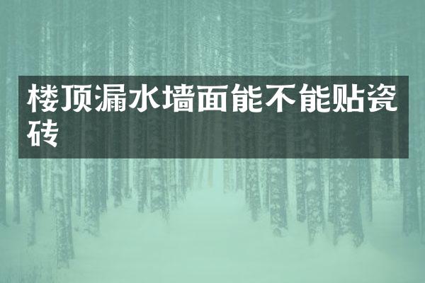 楼顶漏水墙面能不能贴瓷砖