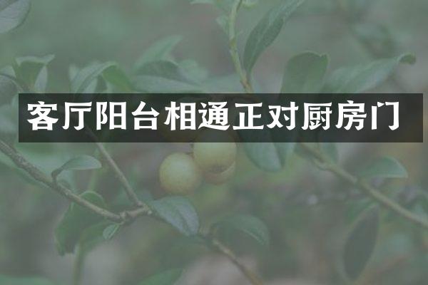 客厅阳台相通正对厨房门