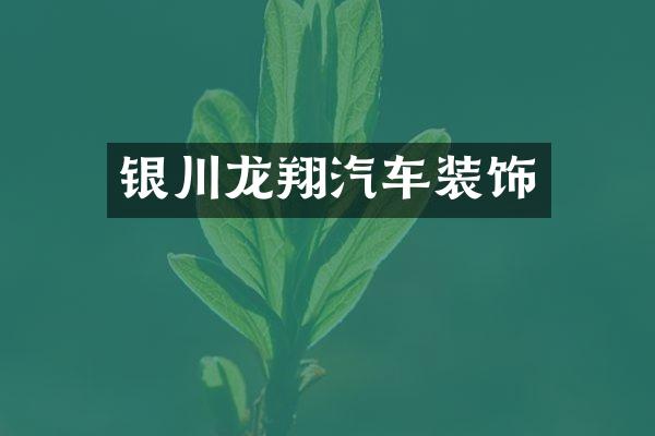 银川龙翔汽车装饰