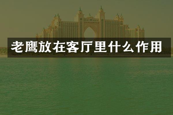 老鹰放在客厅里什么作用
