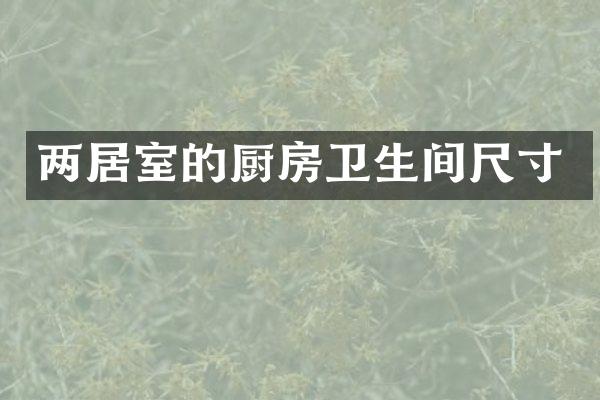 两居室的厨房卫生间尺寸