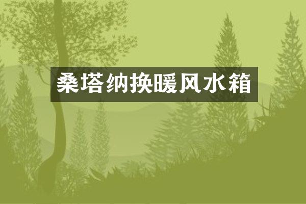 桑塔纳换暖风水箱