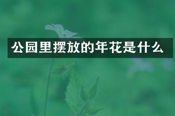 公园里摆放的年花是什么