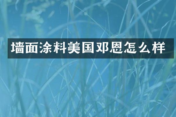 墙面涂料美国邓恩怎么样