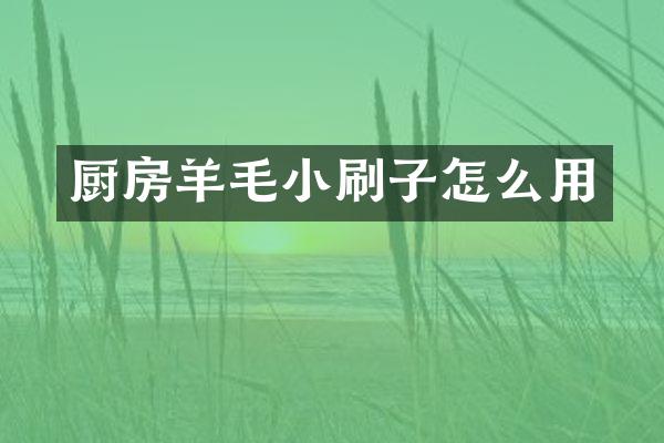 厨房羊毛小刷子怎么用