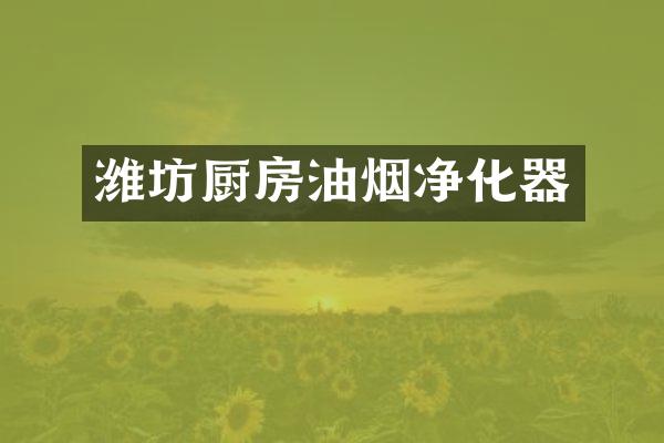 潍坊厨房油烟净化器