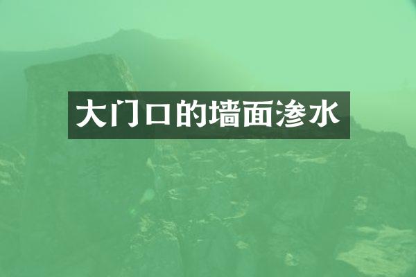 大门口的墙面渗水