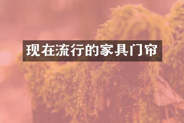 现在流行的家具门帘