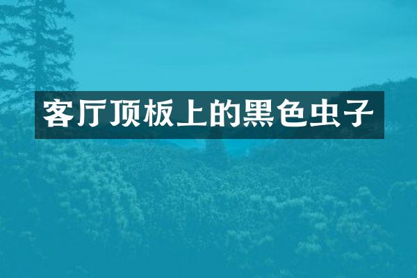 客厅顶板上的黑色虫子