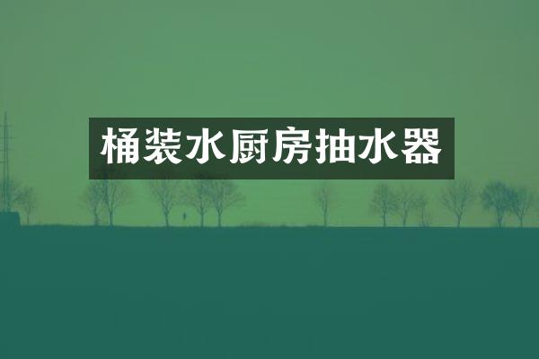 桶装水厨房抽水器