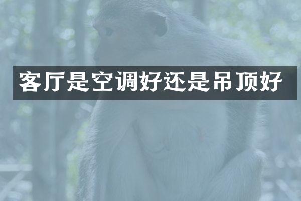 客厅是空调好还是吊顶好