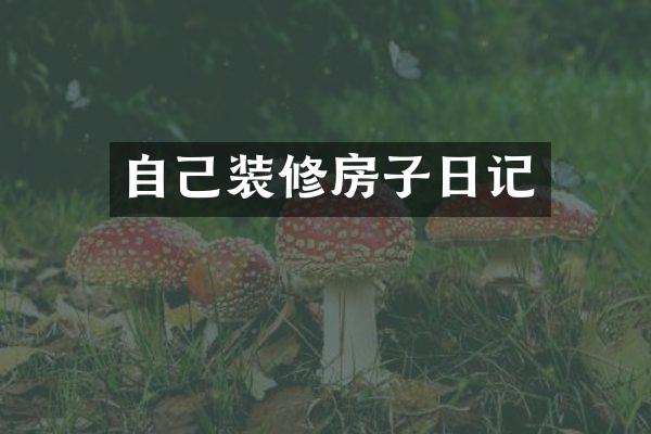 自己装修房子日记