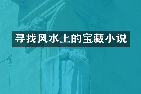 寻找风水上的宝藏小说